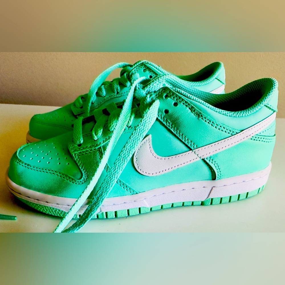 Authentic Nike Dunk Low "Emerald Rise/White"
Grade School Girls' Shoe-Worn Once